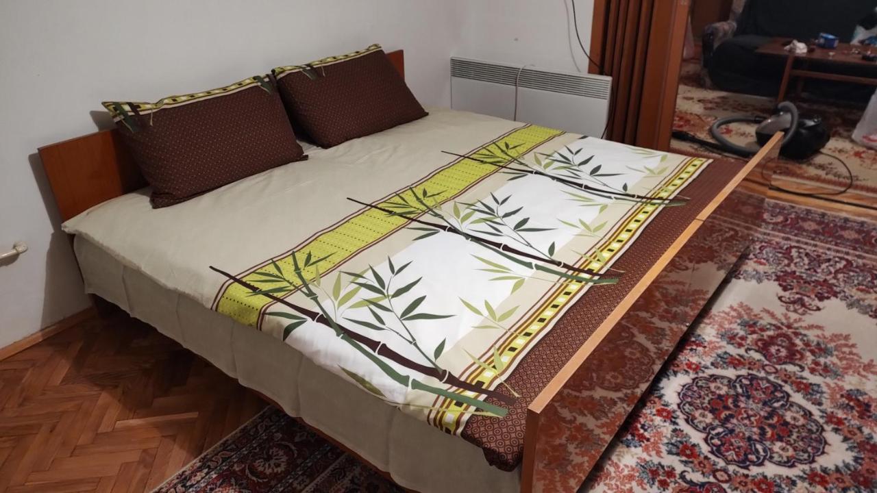 Digital Nomad Comfy Apartment,Foot Mountain Vodno And Millennium Cross,19 Min By Walk To Cener,Free Parking スコピエ エクステリア 写真