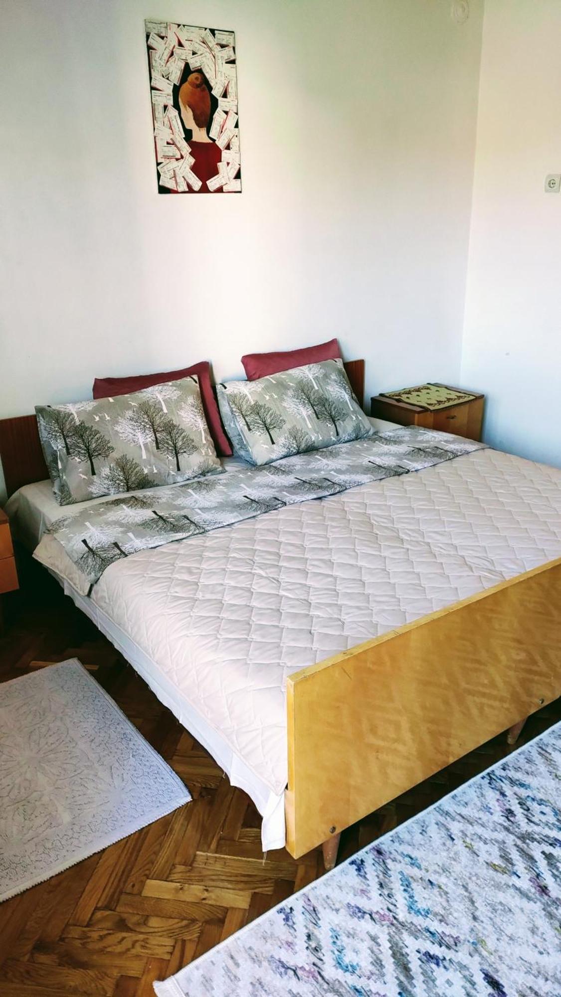 Digital Nomad Comfy Apartment,Foot Mountain Vodno And Millennium Cross,19 Min By Walk To Cener,Free Parking スコピエ エクステリア 写真