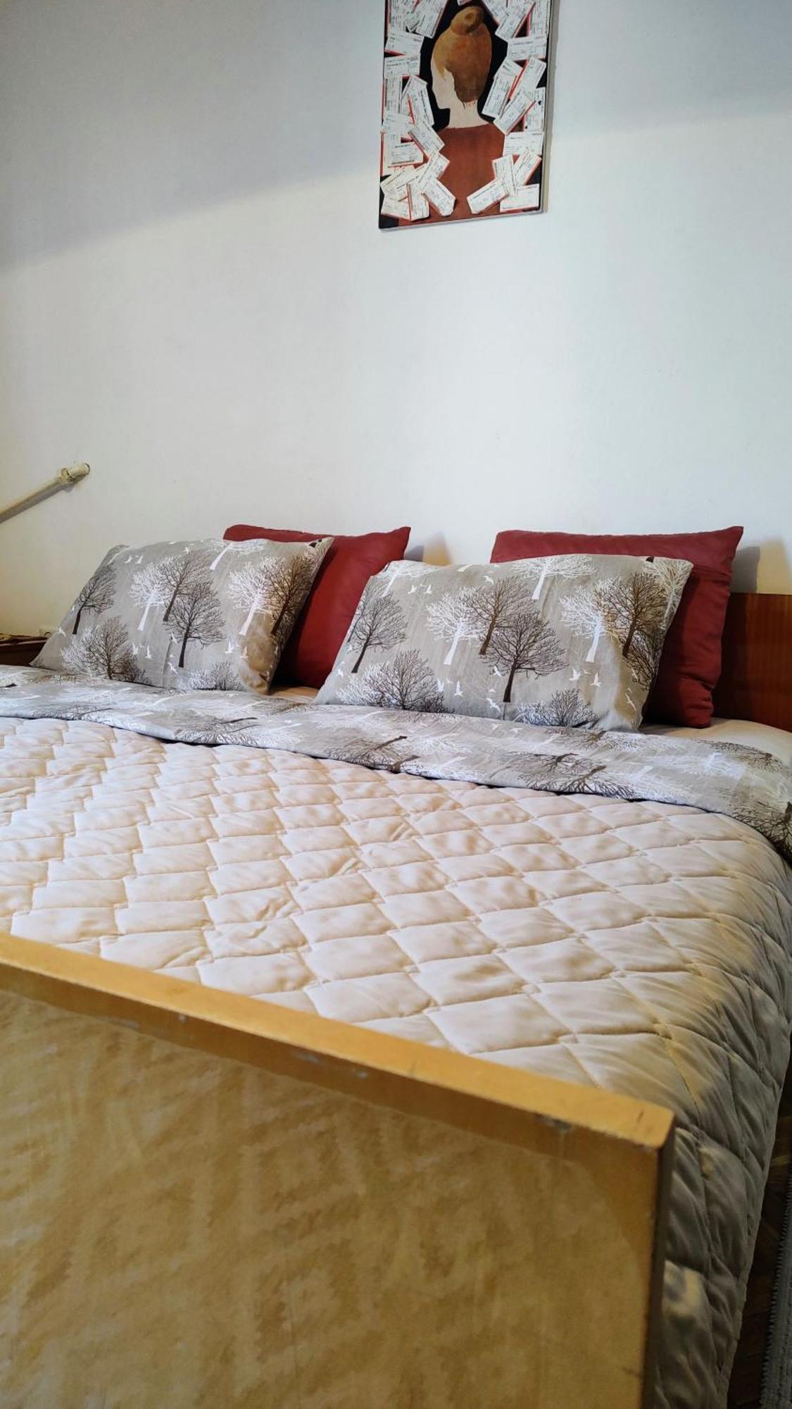 Digital Nomad Comfy Apartment,Foot Mountain Vodno And Millennium Cross,19 Min By Walk To Cener,Free Parking スコピエ エクステリア 写真
